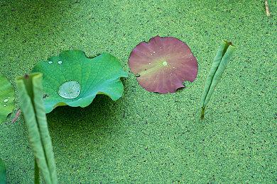 《命运2》终焉之形DLC夏促新史低来袭！年八《宿命边缘》蓄势待发